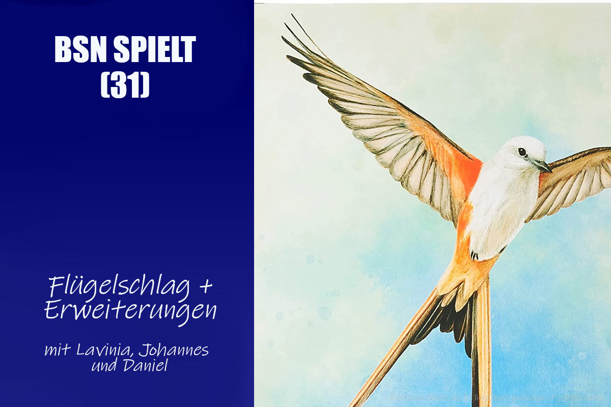 #247 BSN SPIELT (31) | Flügelschlag und die Auswirkung auf die Branche