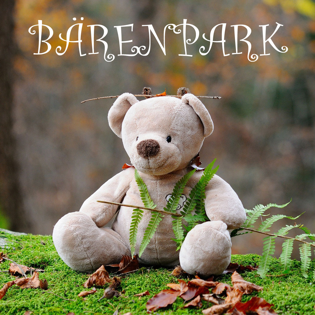 Lookout Verlag: Bärenpark von Phil Walker-Harding angekündigt