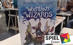 Ersteindruck Woodland Wizards