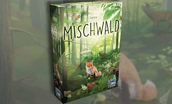 Mischwald 