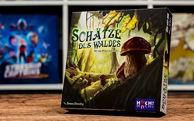 Test | Schätze des Waldes