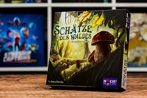 Test | Schätze des Waldes