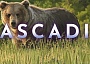 Spiel des Jahres 2022 Cascadia auf Steam im Early Access gestartet 