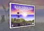 Solo-Abenteuer „Witchbound“